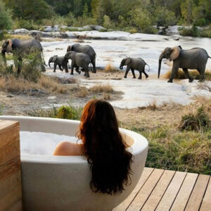 Luxury Safari