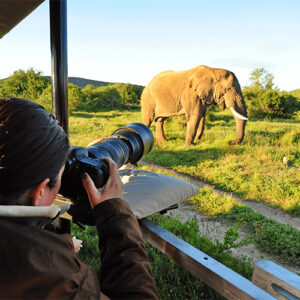 Photography Safari