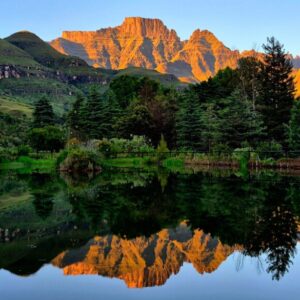 KZN Bush & Berg Retreat (September Departure)