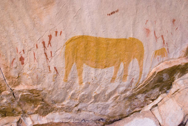 Kgalagadi & Augrabies Falls - Guided Tour (23 - 28 May 2027) - Image 6