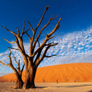 Namibia - Guided Tour (12 - 22 April 2027)